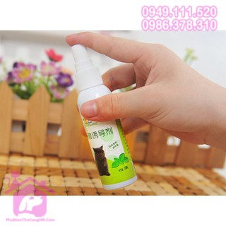 Catnip cho mèo chai xịt 50ml - Phụ kiện thú cưng Hà Nội