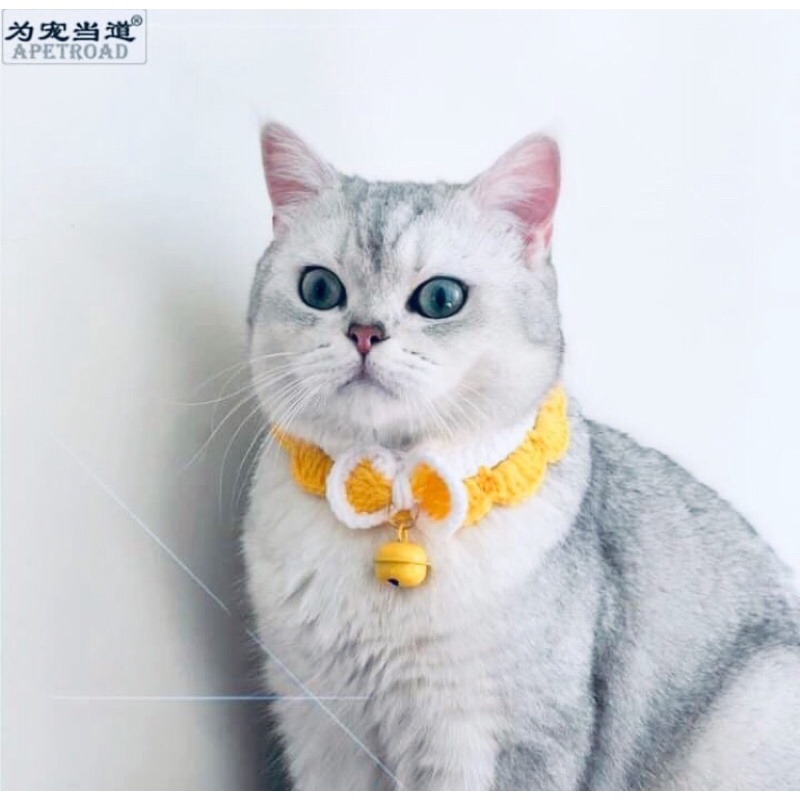 vòng nơ cho chó mèo