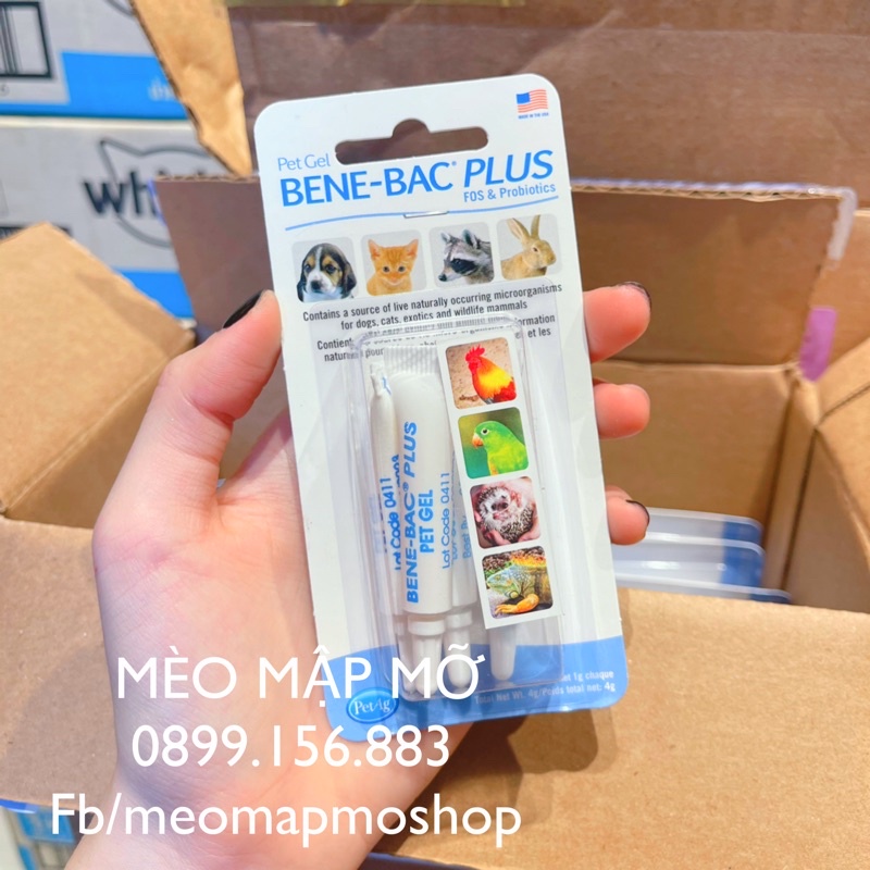 MEN TIÊU HOÁ CHÓ MÈO BENE BAC PLUS ( 4 ống * 1g )