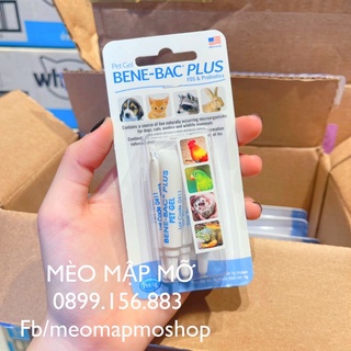 Men tiêu hoá chó mèo bene bac plus