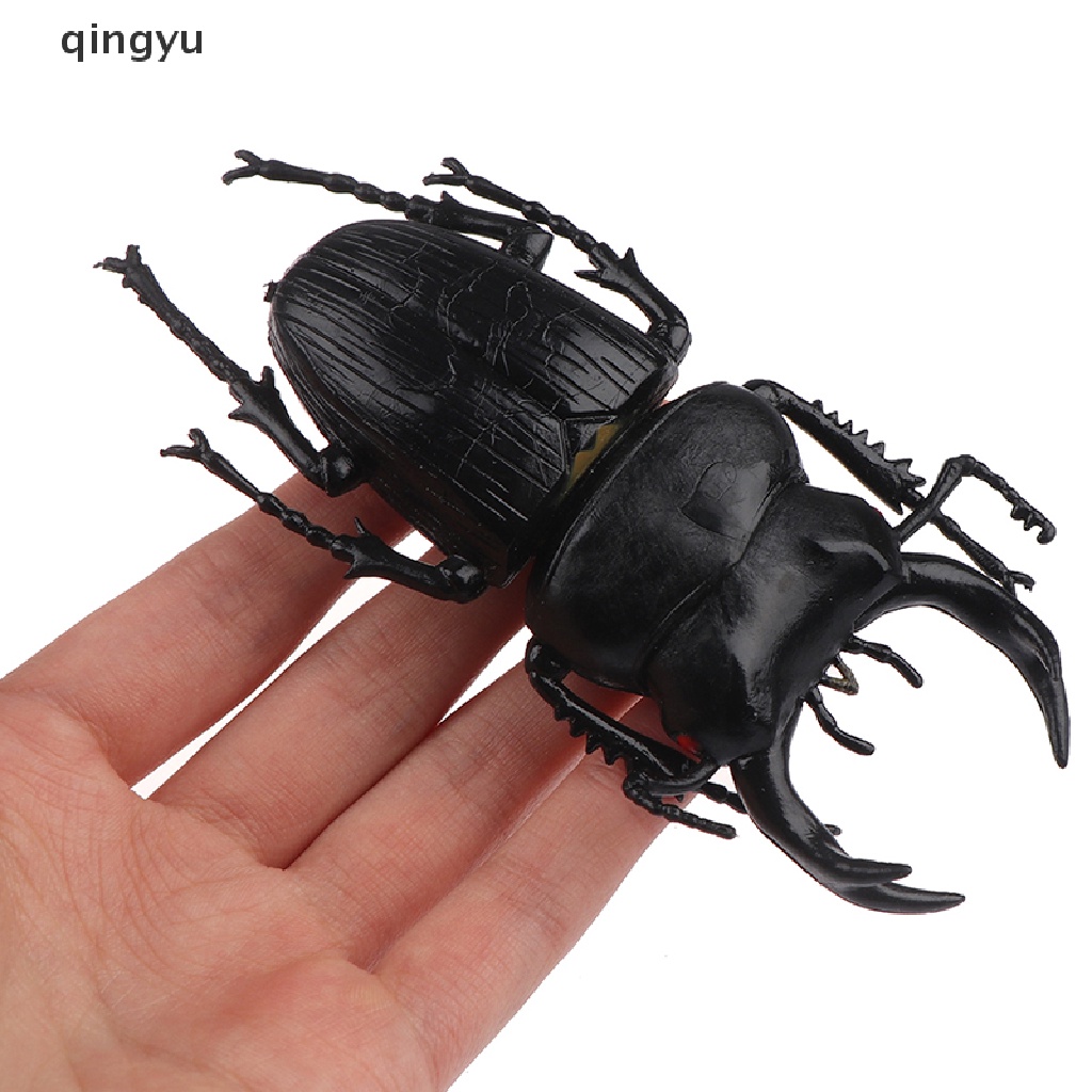 Mô Hình Côn Trùng Sống Động Như Thật Dùng Dạy Học