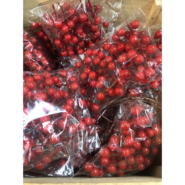 Set đào đông trang trí Noel