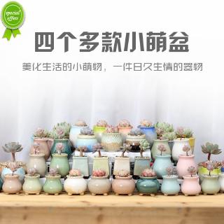 Chậu Hoa Bằng Gốm Sứ Phong Cách Hàn Quốc Đơn Giản Sáng Tạo