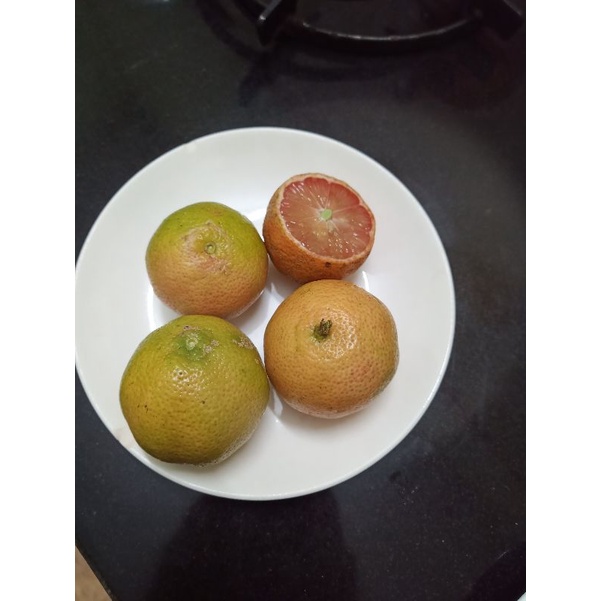 CHANH SẠCH CHUẨN HỮU CƠ  1KG