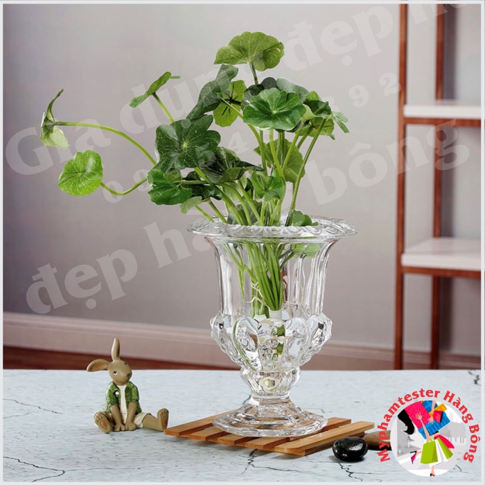 Lọ thủy tinh cắm hoa, cắm phật thủ trang trí đẹp mắt