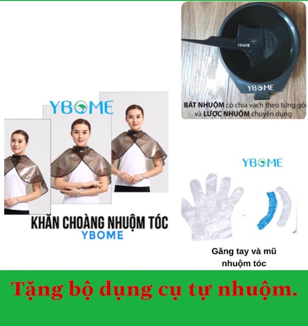 Nhuộm tóc phủ bạc từ lá cây rừng Ybome