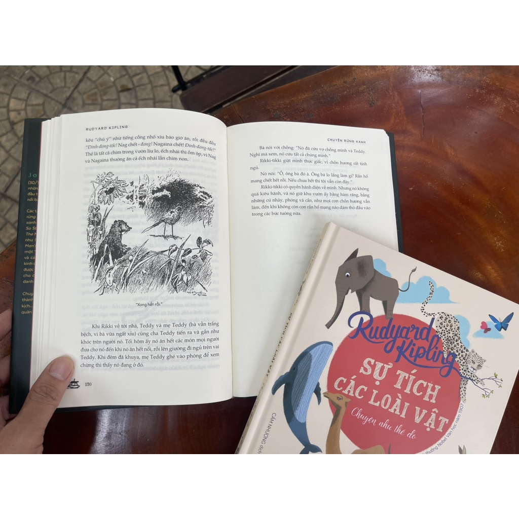 Sách - Chuyện Rừng Xanh – Sự Tích Các Loài Vật – Rudyard Kipling - Combo 2 cuốn– Bình Book