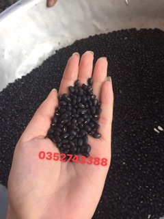 1Kg đỗ đen xanh lòng quê hạt nhỏ