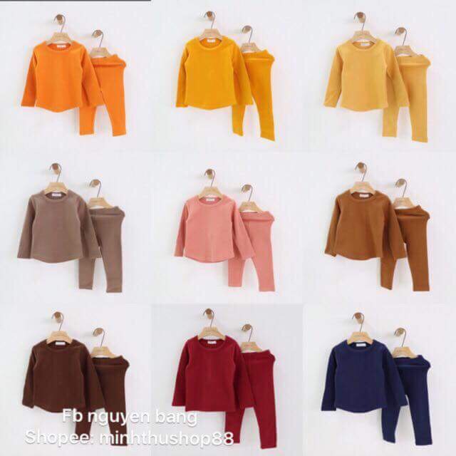 Bộ Cat Joe dòng mới 2020