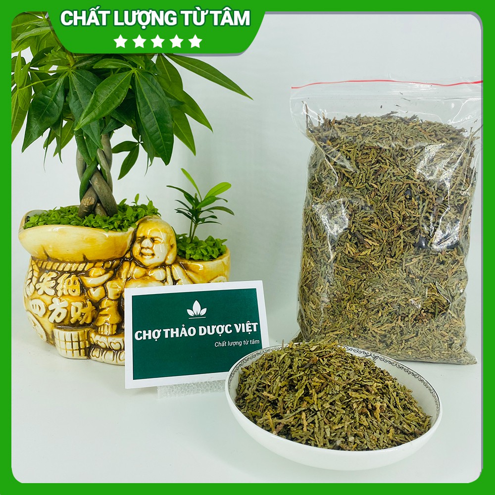 [Giá Sỉ] 2kg Trắc Bạch Diệp (Khô, Xanh, Sạch)