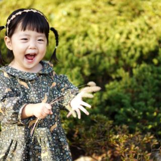 Vải kate Hàn Quốc 100%cotton