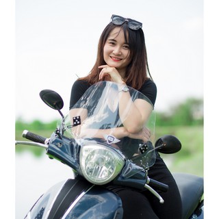 Kính Chắn Gió Xe Liberty - KC500LI