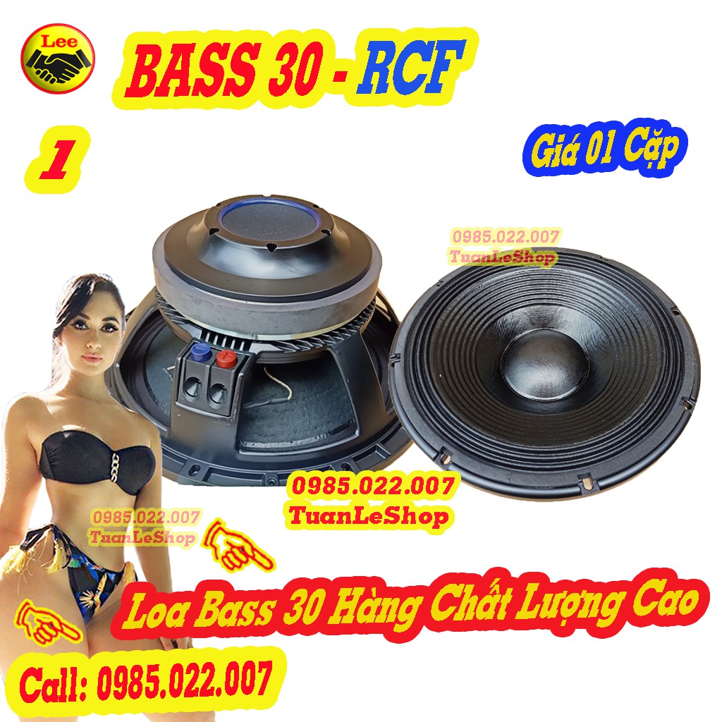 02 CỦ BASS 30 RCF NHẬP KHẨU - GIÁ 02 CHIẾC - TỪ 190 COIL 75MM - CỦ LOA 3 TẤC