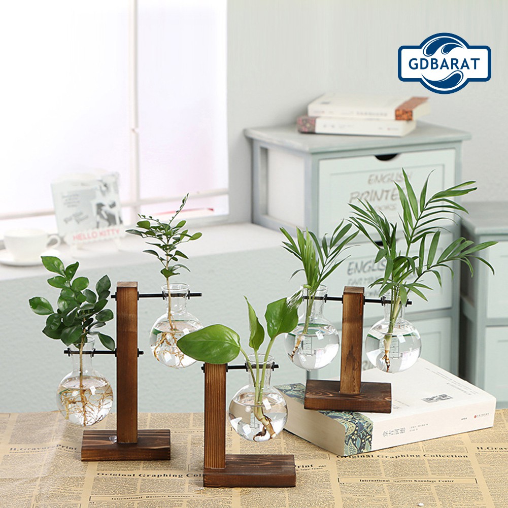 Chậu Hoa Bằng Thủy Tinh Trong Suốt Kèm Khung Gỗ Độc Đáo Tiện Dụng