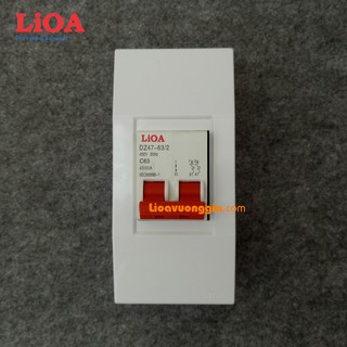 Combo cầu dao tự động chống quá tải và ngắn mạch LiOA 63A loại 2 cực - Lắp nổi