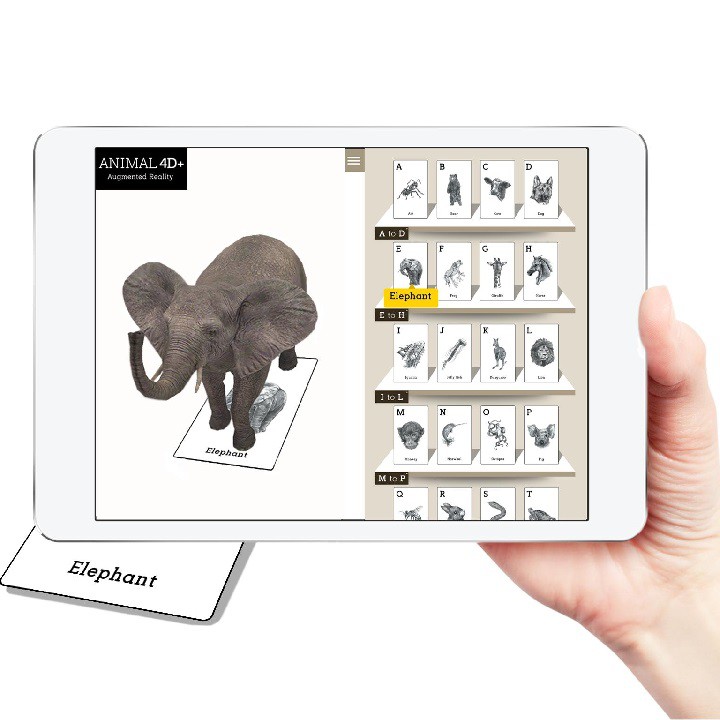 Bộ 31 thẻ ANIMAL 4D cực bổ ích để bé vừa học tiếng Anh vừa tìm hiểu về các loài động vật