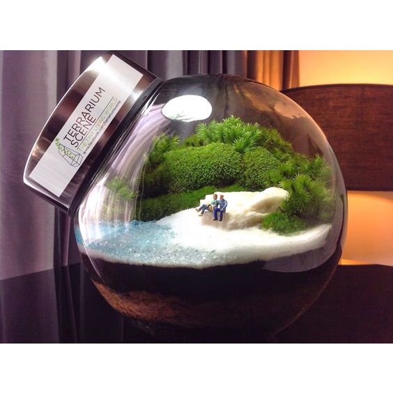 Lọ thủy tinh nghiêng làm terrarium, tiểu cảnh mini 380ml