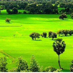 Nhà thuốc Tân Thành