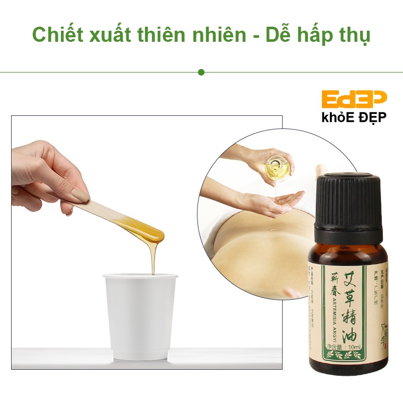 Tinh Dầu Massage Ngải Cứu Dùng Spa, Xông Hơi, Xoa Bóp