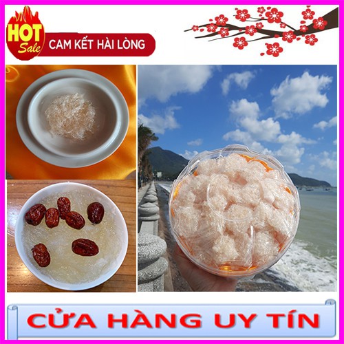 Tổ yến sào tinh chế 3 viên Baby tiện lợi dễ dùng Tặng táo đỏ, đường phèn, hạt chia