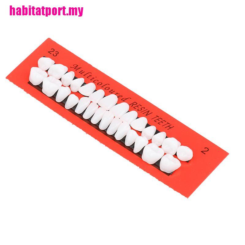 Set 28 Mô Hình Răng Giả Bằng Nhựa Dùng Trong Giảng Dạy