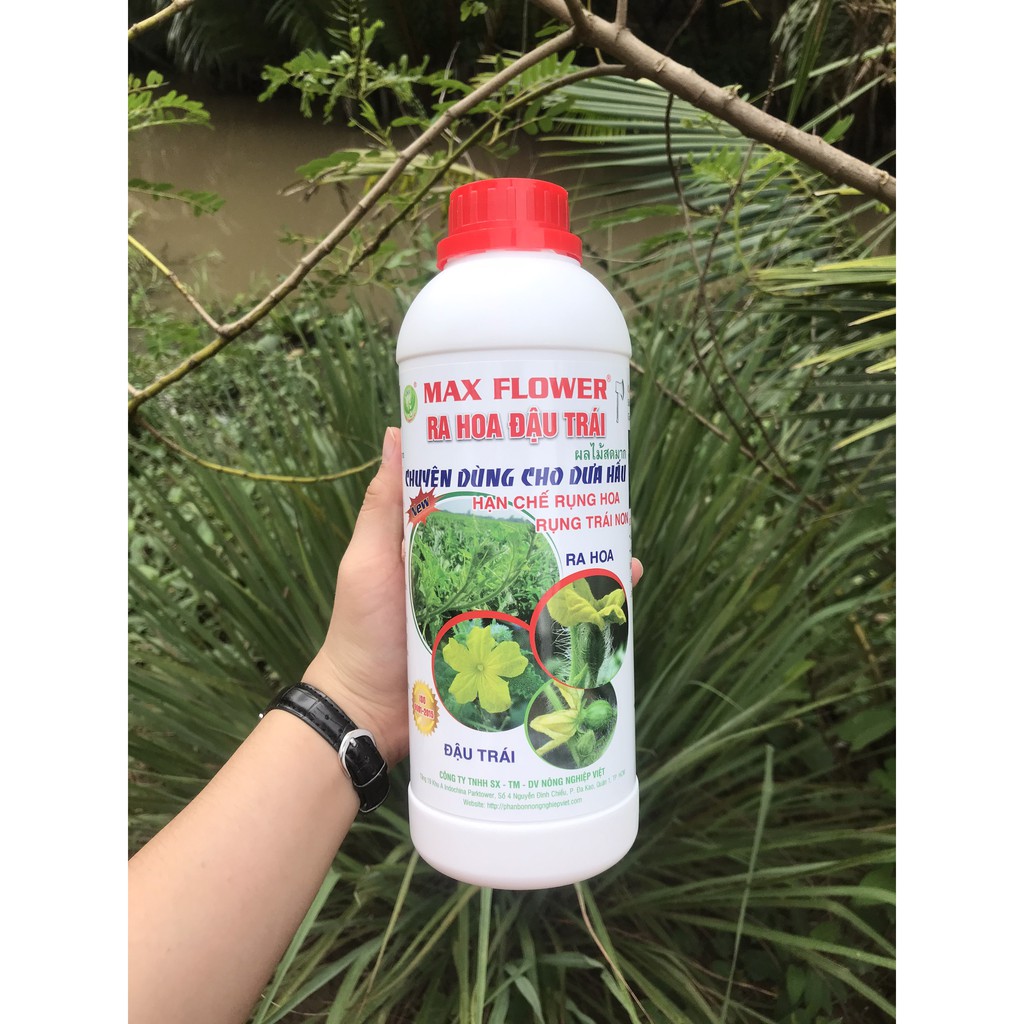 Phân Bón Cho Dưa Hấu Ra Hoa Đậu Trái Max Flower Chai 1 Lít - Hạn Chế Rụng Hoa Và Trái Non