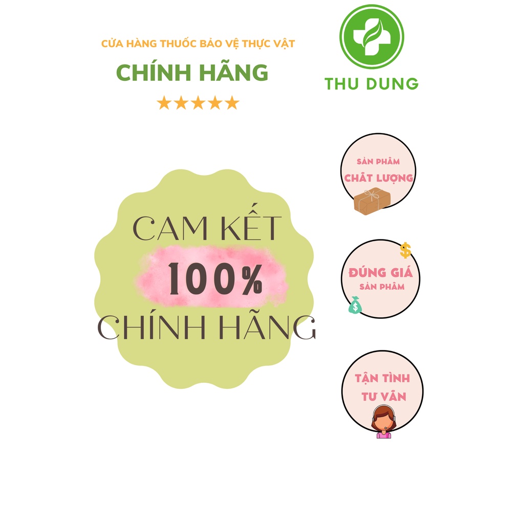 VÔ GẠO LÚA VÀNG