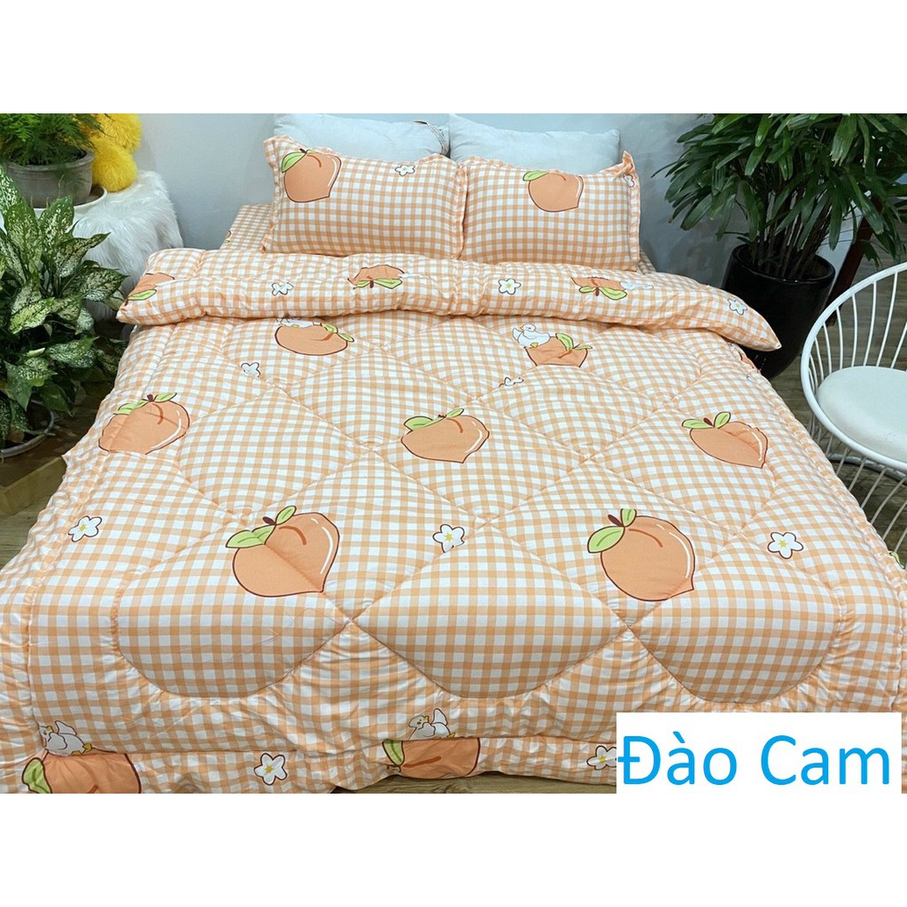 Chăn phao có kèm vỏ gối Cotton poly đẹp ( tùy phân loại nha)