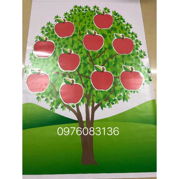 Set cây táo khổ A0 in bạt+10 quả táo