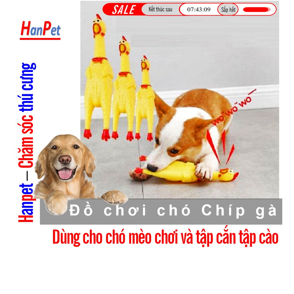 SP218 - Chip chip ga (hanpet 4711787) Đồ chơi cho bé - đồ chơi chó mèo – phát tiếng gà kêu Đồ chơi con gà phát âm thanh