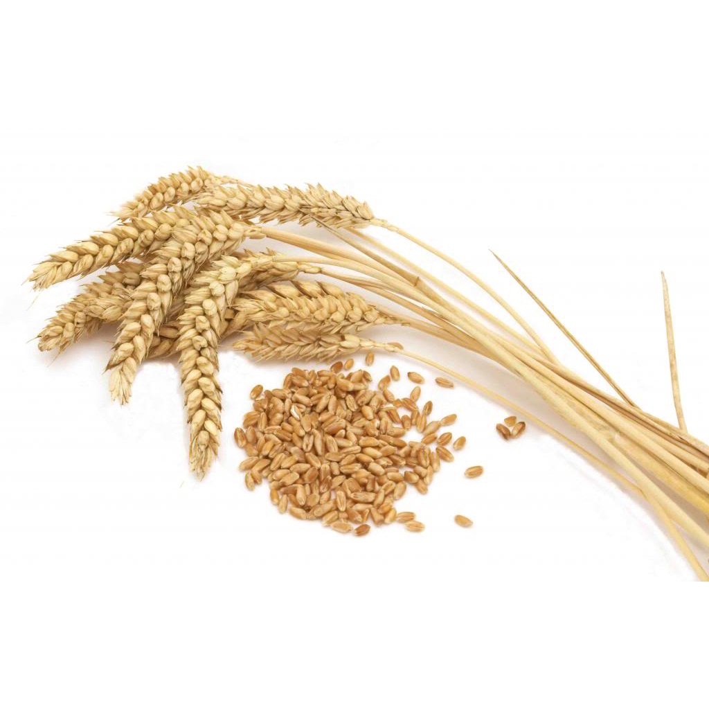 Bột Mì Hữu Cơ Đa Dụng Ecorog Gói Đạt Tiêu Chuẩn EU Organic Gói 1Kg