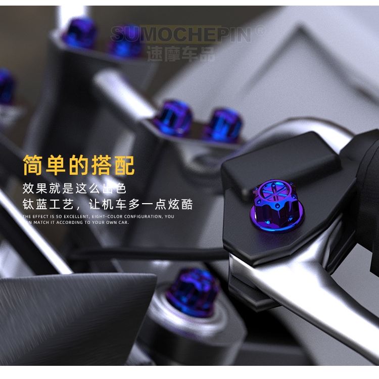 Set 30 Ốc Vít Titan Màu Xanh Dương Trang Trí Vỏ Xe Mô Tô