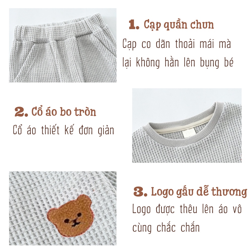 Bộ dài tay cho bé, Bộ thu đông bé gái bé trai cotton tổ ong thoáng mát DOBO068