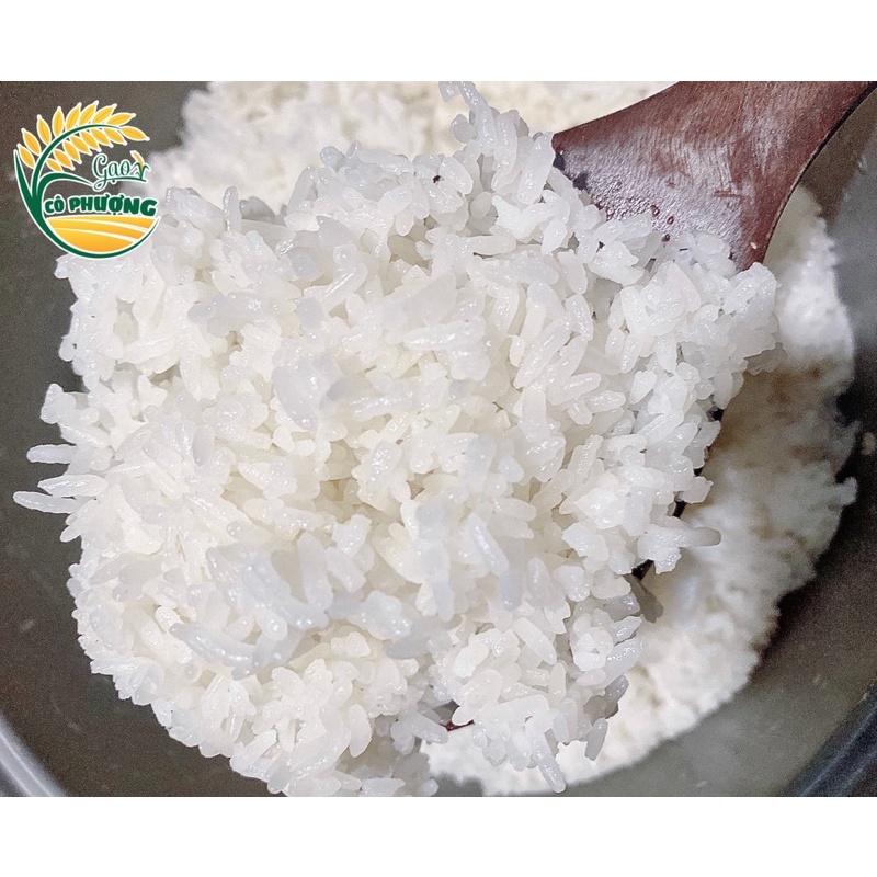 Gạo 225 túi 5kg đặc sản Thái Bình, gạo thơm ngon, dẻo vừa  - Gạo Cô Phượng