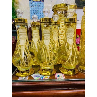 Bình sâm hàn quốc 1.5lit