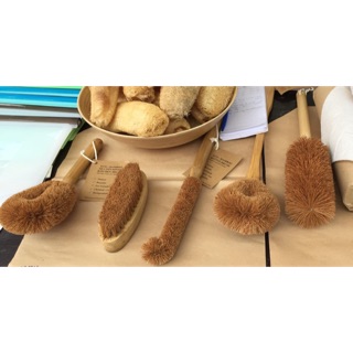 CỌ CHÀ RỬA THÂN TRE XƠ DỪA