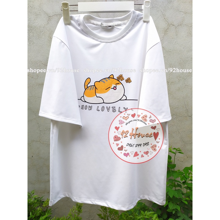 Áo thun tay lỡ nam nữ in hình gấu bear đen