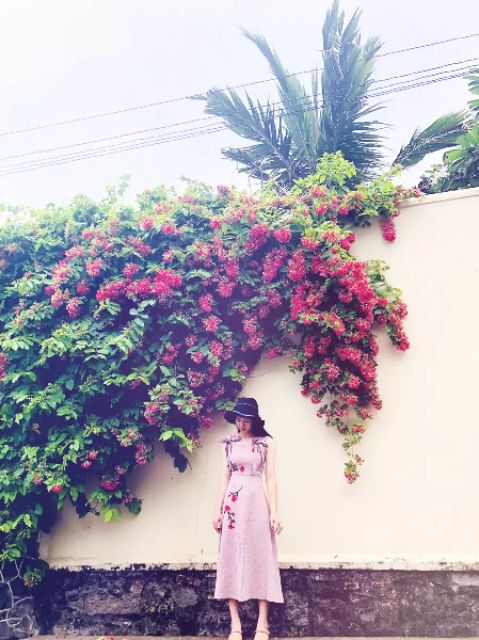 [ORDER] Đầm ulzzang thêu hoa tiểu thư cực xinh 😍 | BigBuy360 - bigbuy360.vn