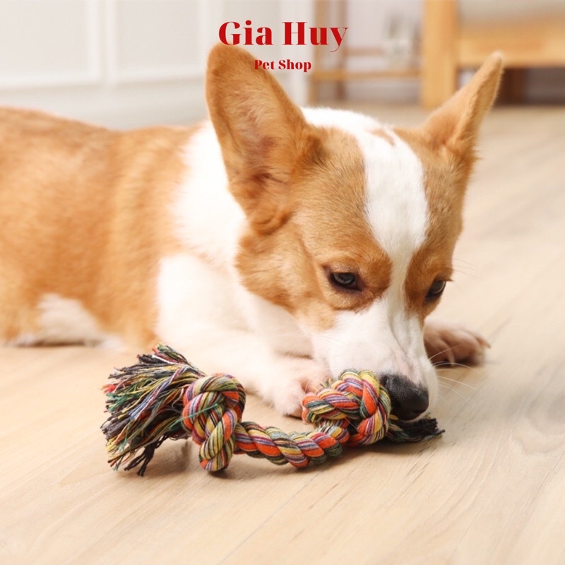 Đồ Chơi Dây Vặn Thừng Cho Chó