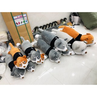 Chó Husky gối ôm (chó Alaska)