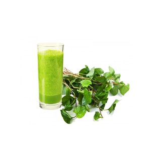 Hạt giống rau Diếp Cá (Dấp Cá)