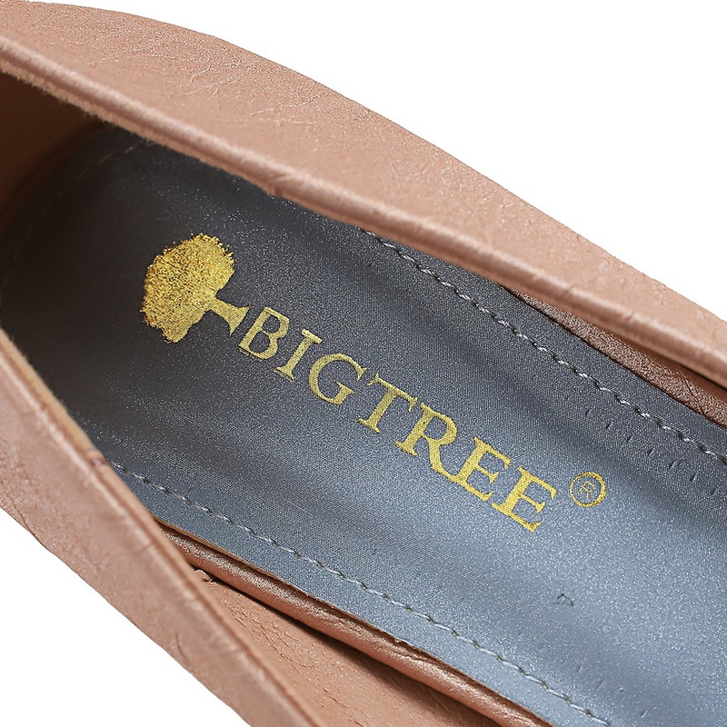 BIGTREE Giày Cao Gót 8.5cm Mũi Nhọn Phối Khóa Vuông Thời Trang Cho Nữ 272-18