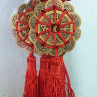 Hoa mai kim tiền