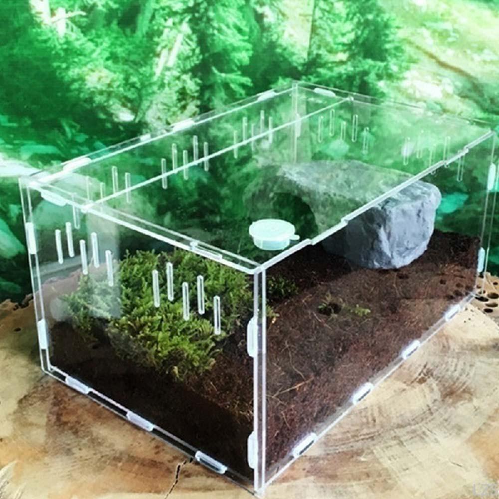 Epoch Hộp Acrylic Đựng Thức Ăn Cho Ếch / Côn Trùng