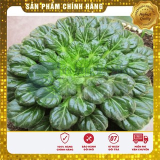 Hạt giống Cải Hoa Hồng 1Gram