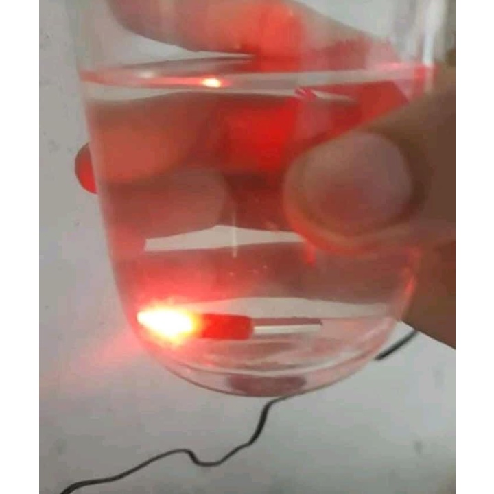 10 chiếc Bóng Đèn LEDkèm pin-  Bóng LED dùng pin CR425 Dùng Cho Câu Lục