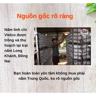 Nấm Linh Chi Đỏ Thái Lát - Hồng Chi (Còn Nguyên Bào Tử)
