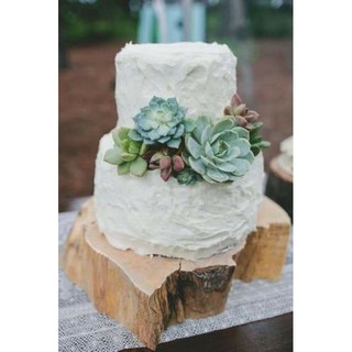 Cây giả decor sen đá giả to đường kính bông 15cm trang trí nhà cửa