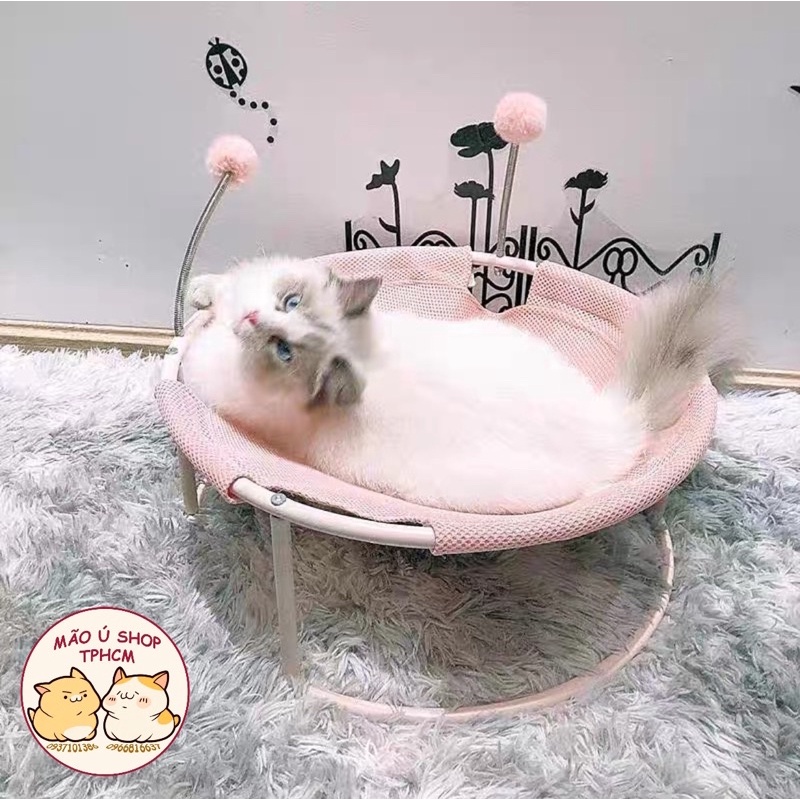 VÕNG NẰM CHO MÈO