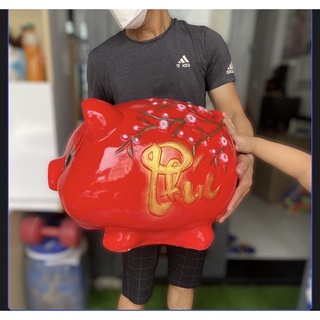 Heo đất size to khổng lồ